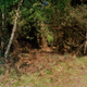 Illustration for article titled Can you spot the camouflaged snipers hiding in these photographs?